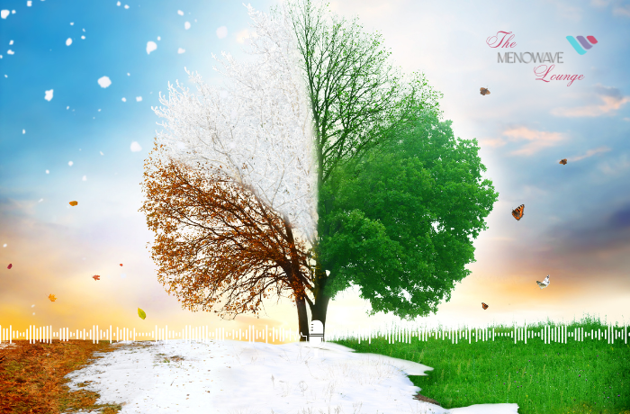 Embracing the Shift: Navigating Life’s Seasons of Change